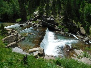 Scenic view of waterfall in forest