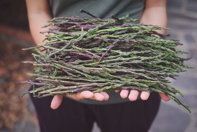 Midsection of woman with asparagus