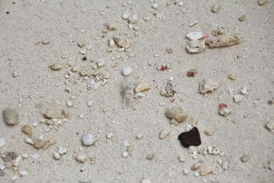 Close-up of sand on beach