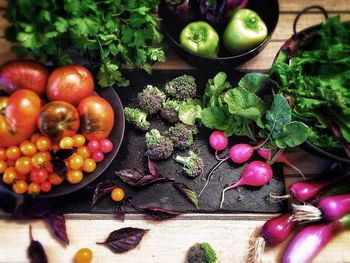 Close-up of fresh green food