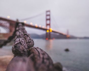 Close-up of illuminated rope against sky in city