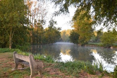 Scenic view of lake in forest during autumn