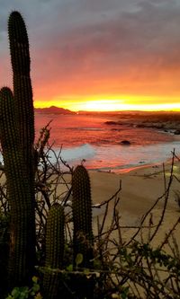 Scenic view of sea during sunset