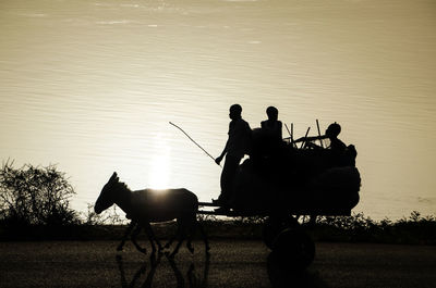 Silhouette people riding bicycles on land against sky during sunset