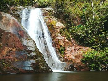 View of waterfall in forest