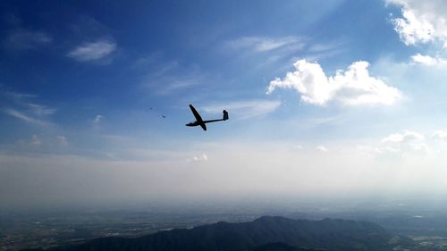 Low angle view of bird flying in sky