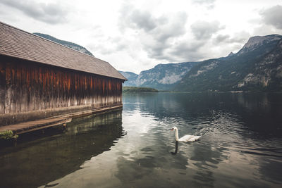 Ducks swimming in lake against mountains