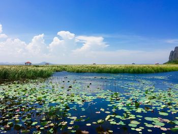 Scenic view of lake against sky