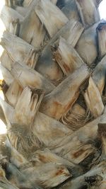 Close up of pattern