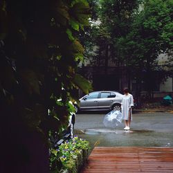 Rear view of woman on plants