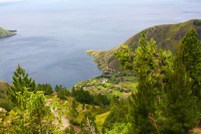 High angle view of trees and sea against sky