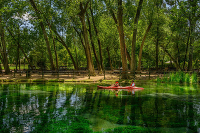 Scenic view of lake in forest