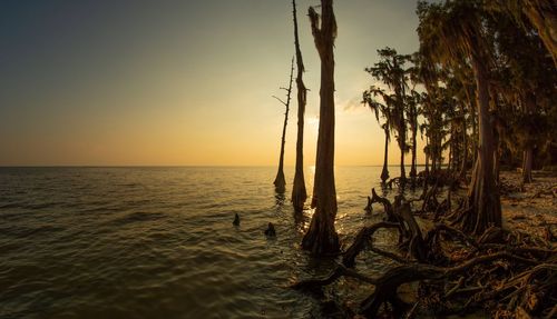 Scenic view of sea against sky during sunset