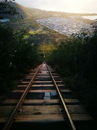 Railroad tracks amidst trees against sky