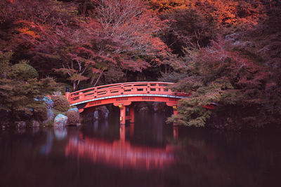 Arch bridge over lake during autumn