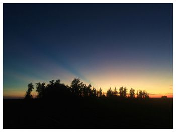 Silhouette trees in forest against clear sky