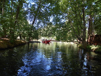 People in forest