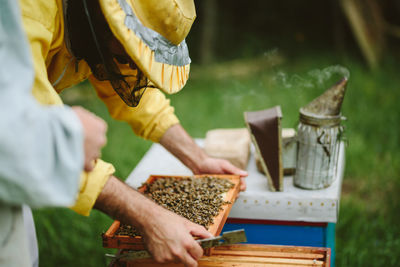 Beekeeper holding beehive tray at farm