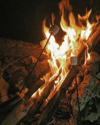 Close-up of fire at night