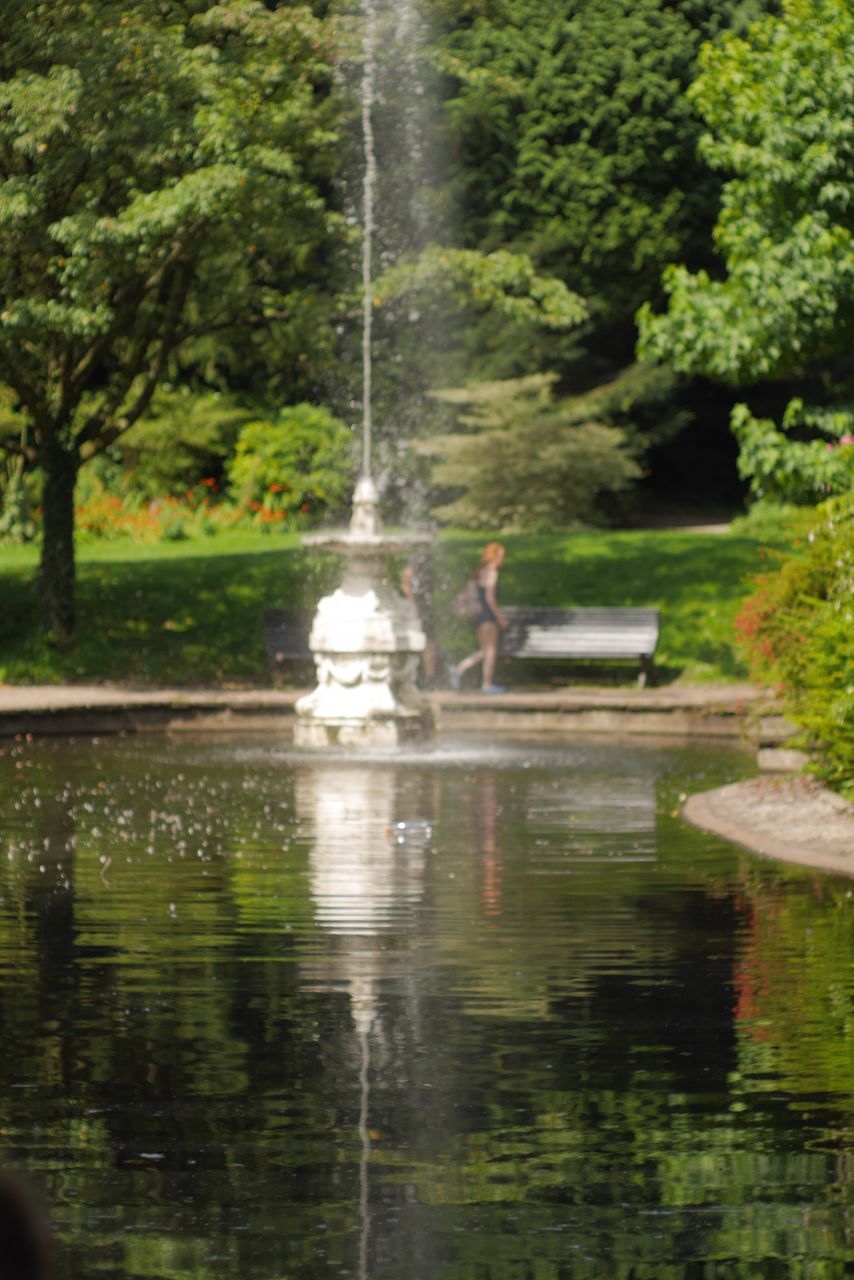 water, tree, fountain, park - man made space, motion, waterfront, statue, spraying, tranquility, park, reflection, garden, nature, growth, day, splashing, scenics, tranquil scene, green color, beauty in nature, outdoors, formal garden, non-urban scene, surface level