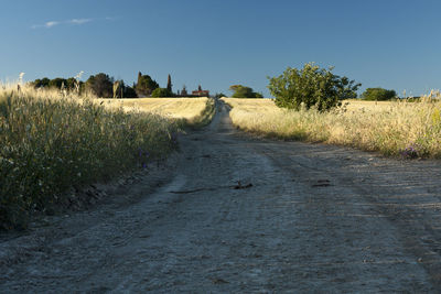 View of dirt road amidst plants against sky
