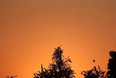 Low angle view of silhouette tree against orange sky