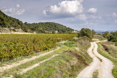 Scenic view of landscape against sky