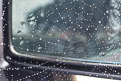 Full frame shot of wet spider web