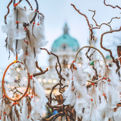 Close-up of christmas decoration hanging on tree