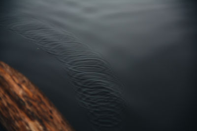 High angle view of rippled water