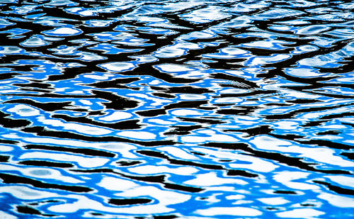 Reflection of trees in water