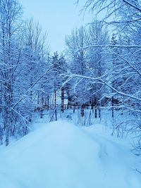 Snow covered landscape against sky