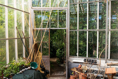 Old indoor garden or greenhouse with open glass door, terra cota clay flower pots, plant seedlings