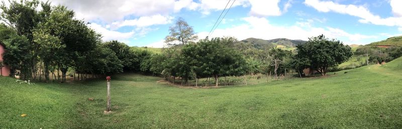 Panoramic view of trees on landscape against sky