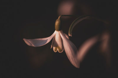 darkness