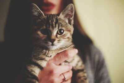 Close-up of woman with kitten