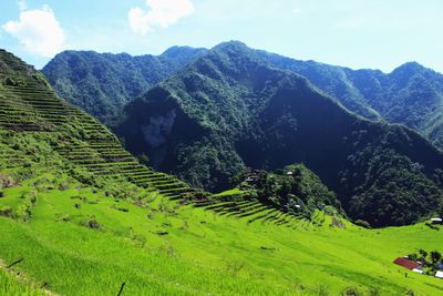 Scenic view of green landscape against sky