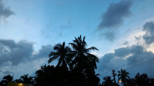 Low angle view of palm trees against cloudy sky