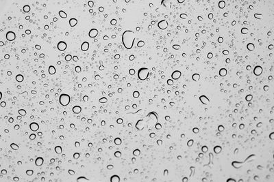 Close-up of water drops on glass