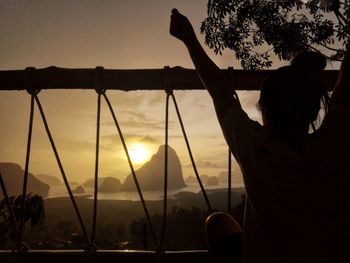 Rear view of silhouette man holding tree against sky during sunset