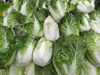 High angle view of vegetables for sale in market