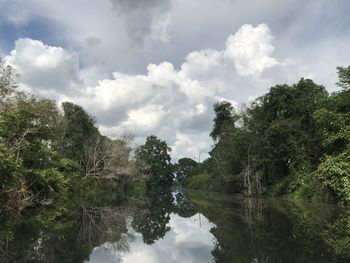 Scenic view of lake by trees against sky