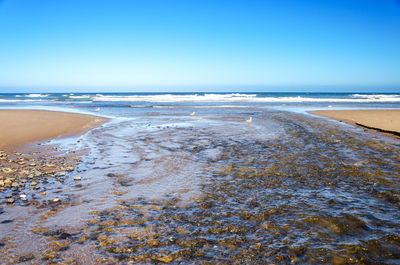 Scenic view of beach against blue sky