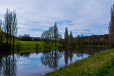 Reflection of trees in lake