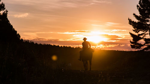 Silhouette horse ride at sunset