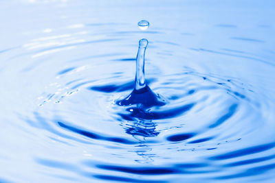 Close-up of water drop