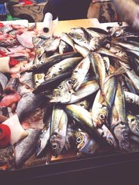 High angle view of fish for sale in market