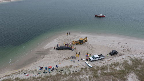 High angle view of people on beach