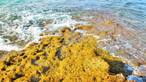 High angle view of sea shore