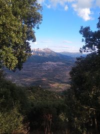 High angle view of trees on landscape against sky